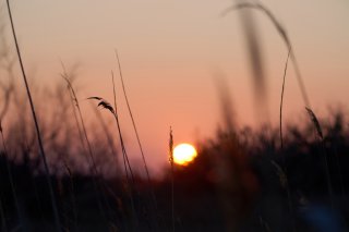 :: Instant éphémère en Provence ::